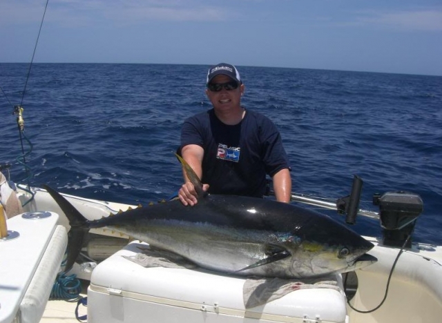  一个很好的金枪鱼标本 